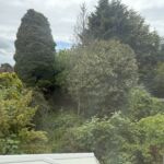 Rutter Green estate agents providing residential and commercial property sales, lettings, and property auction services.