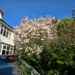 Rutter Green estate agents providing residential and commercial property sales, lettings, and property auction services.